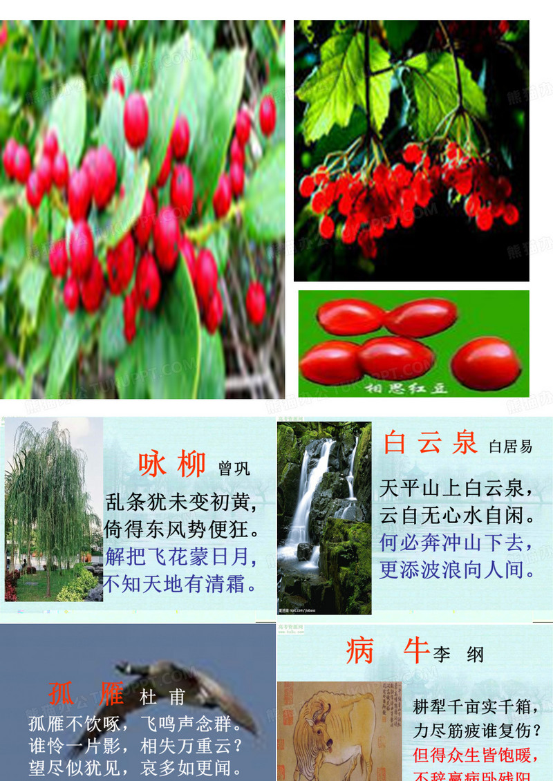 咏物诗