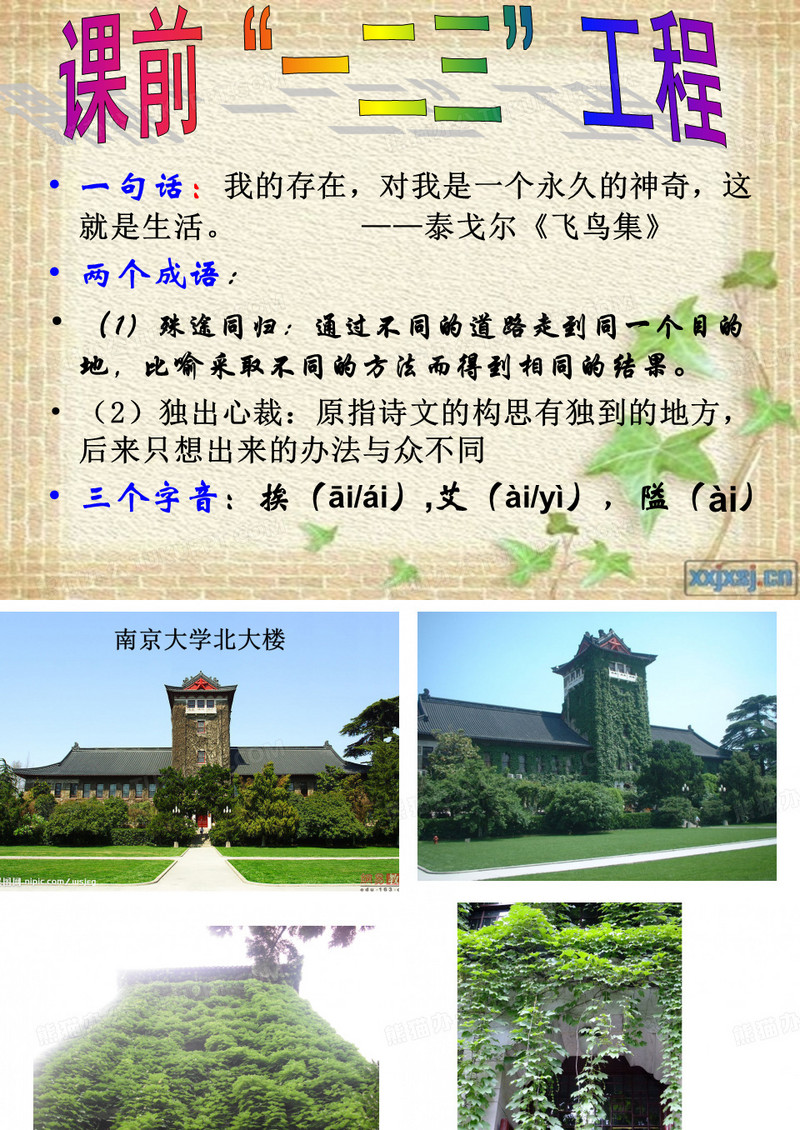 最后的常春藤叶