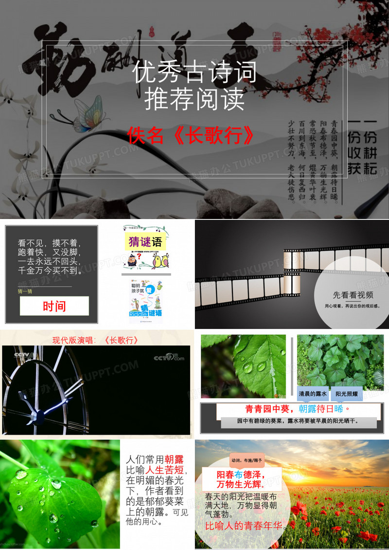 古诗《长歌行》课件
