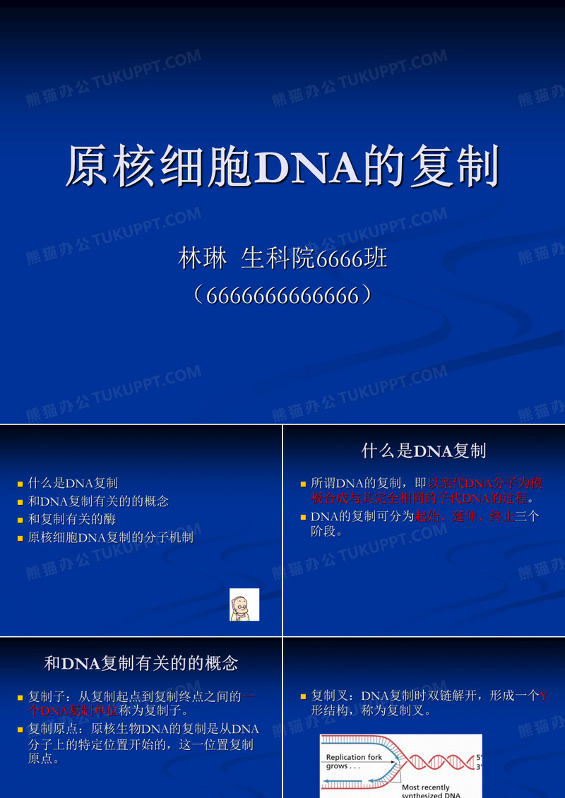 原核细胞DNA的复制