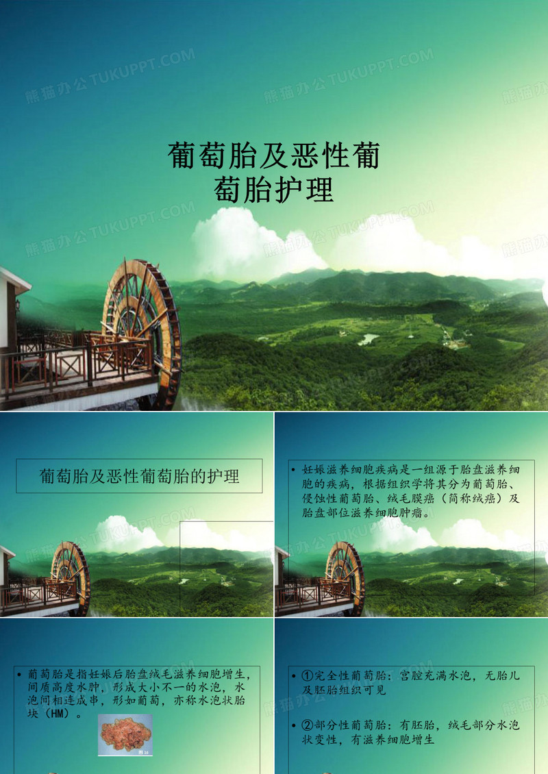 葡萄胎及恶性葡萄胎护理PPT课件