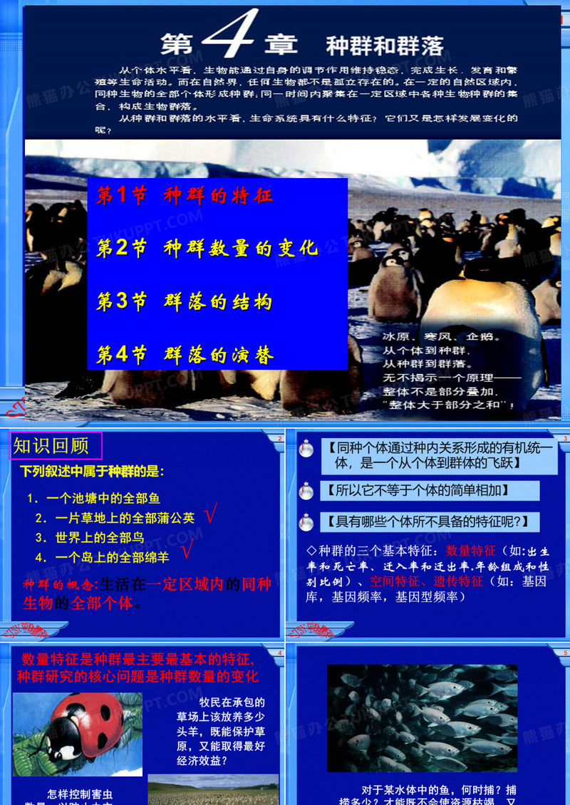 种群的特征
