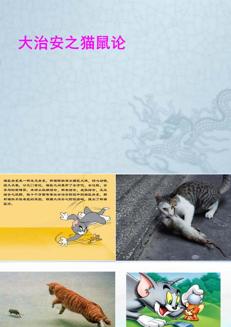 大治安之猫鼠论