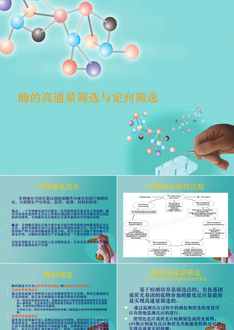 酶的高通量筛选与定向筛选