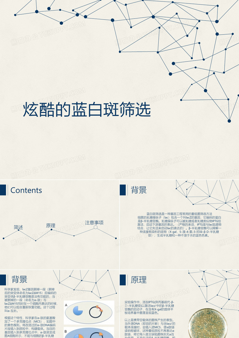 蓝白斑筛选