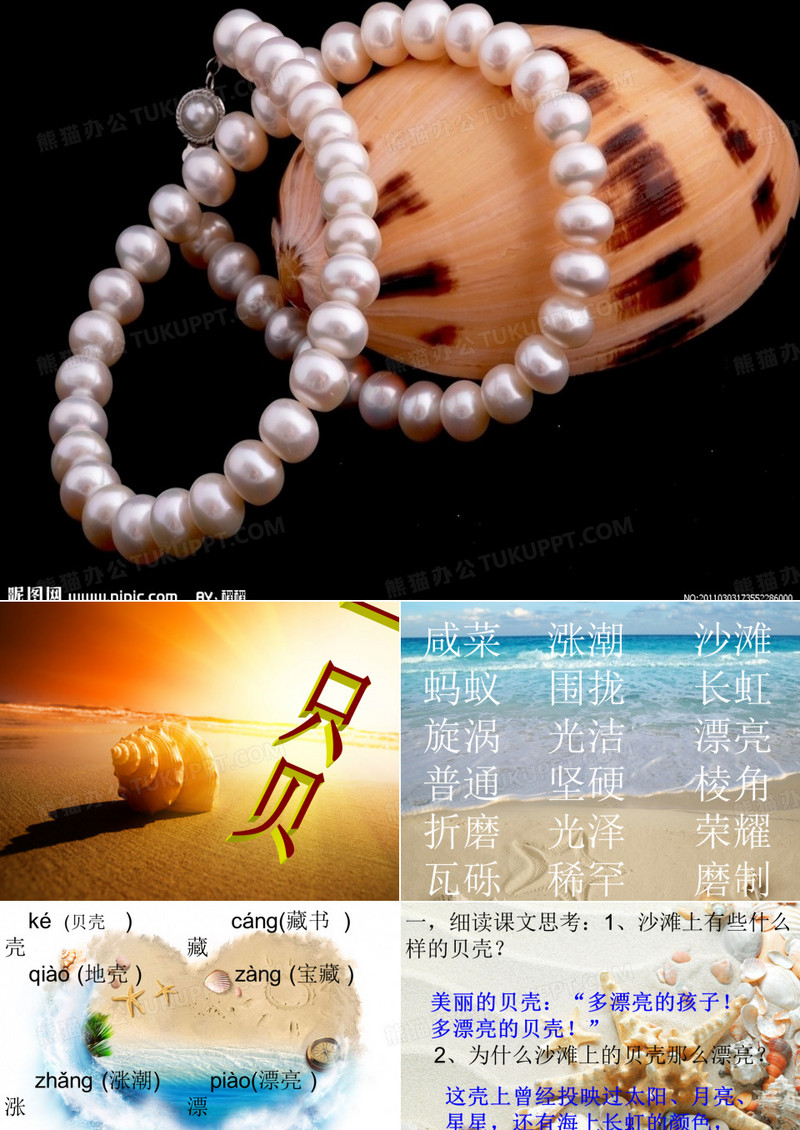 一只贝