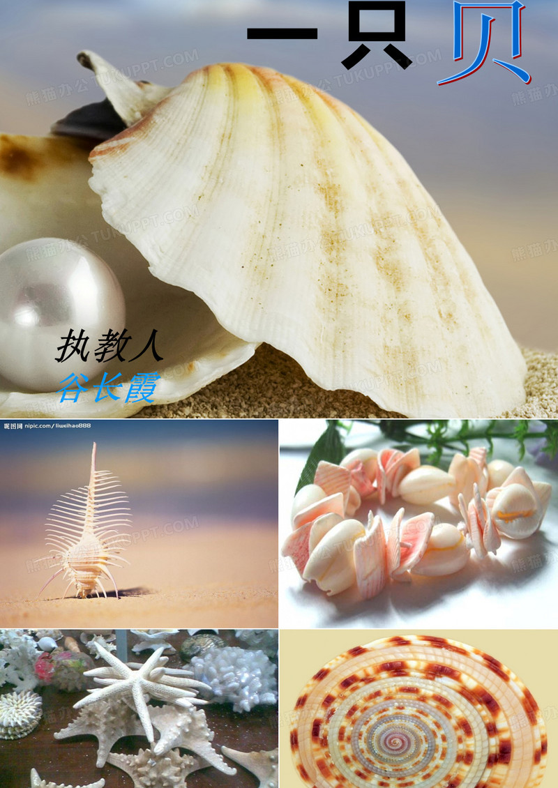 《一只贝》课件