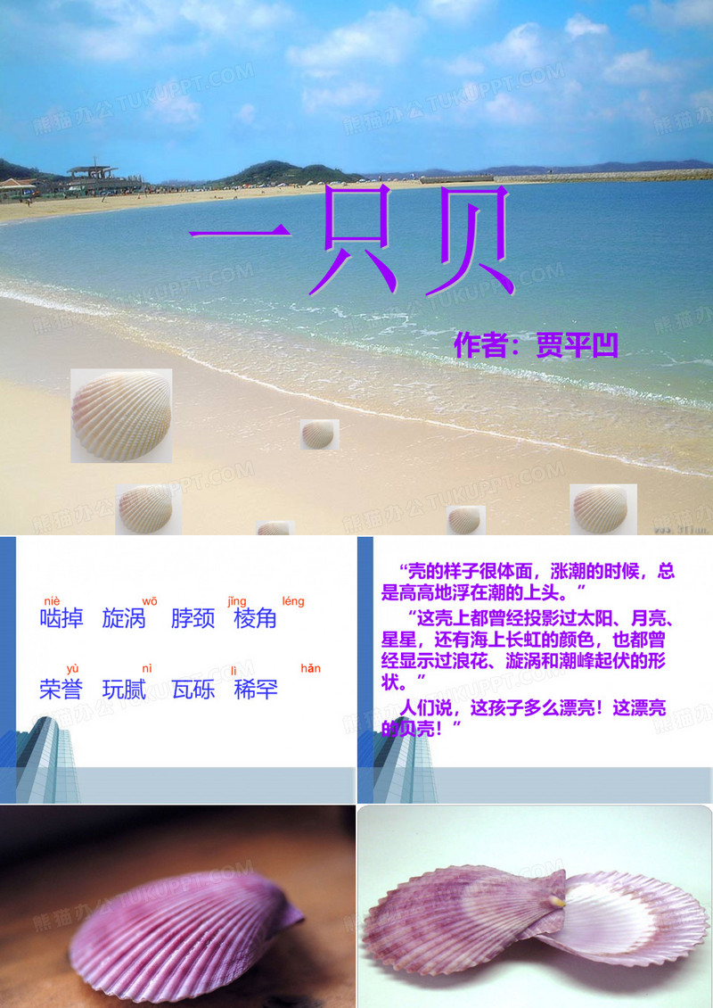 一只贝二课时