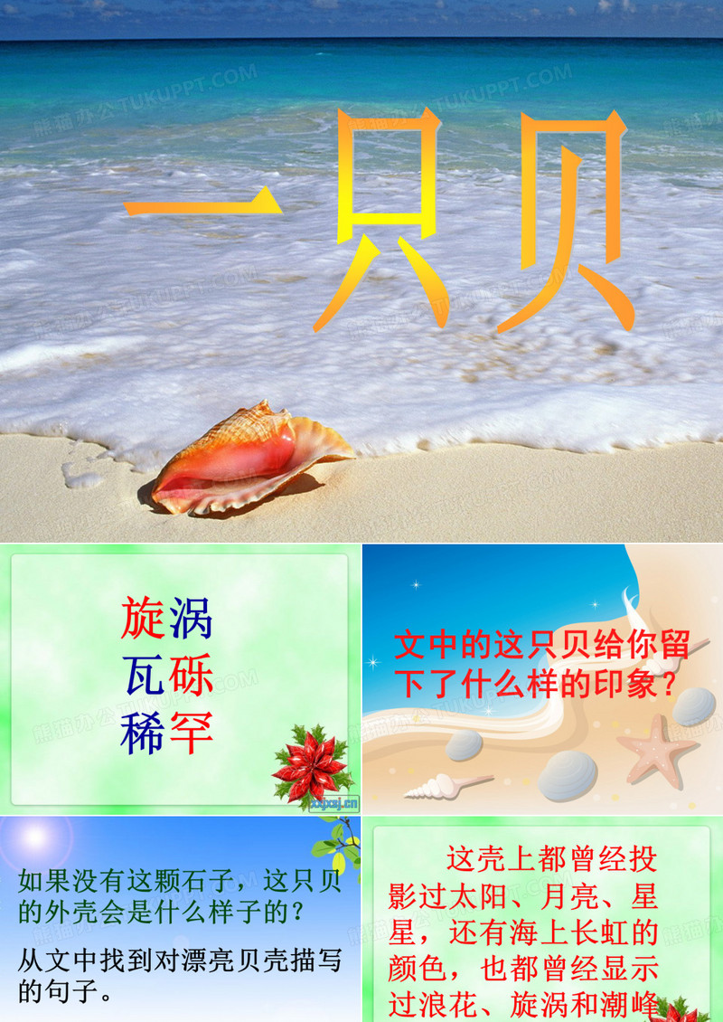 一只贝课件 (1)
