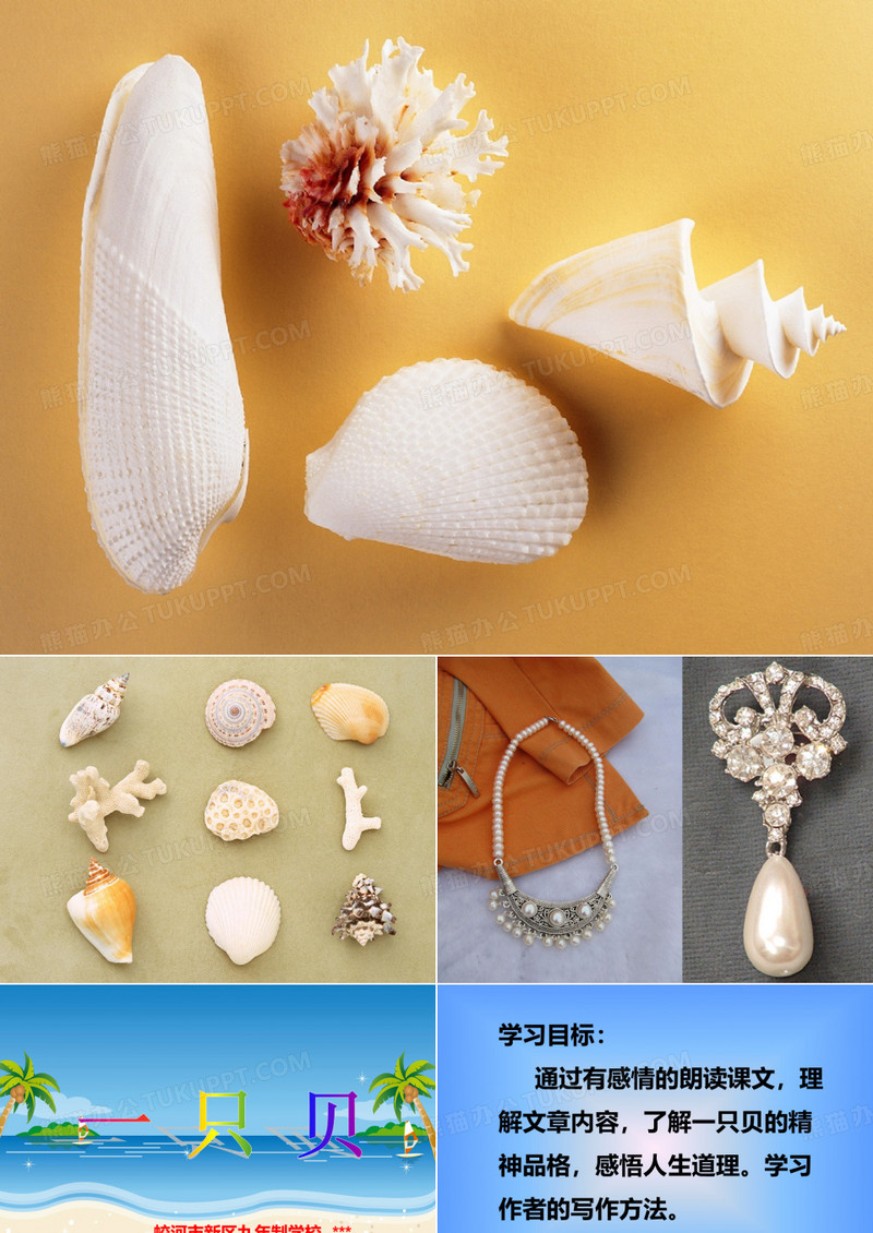 12《一只贝》好用的课件