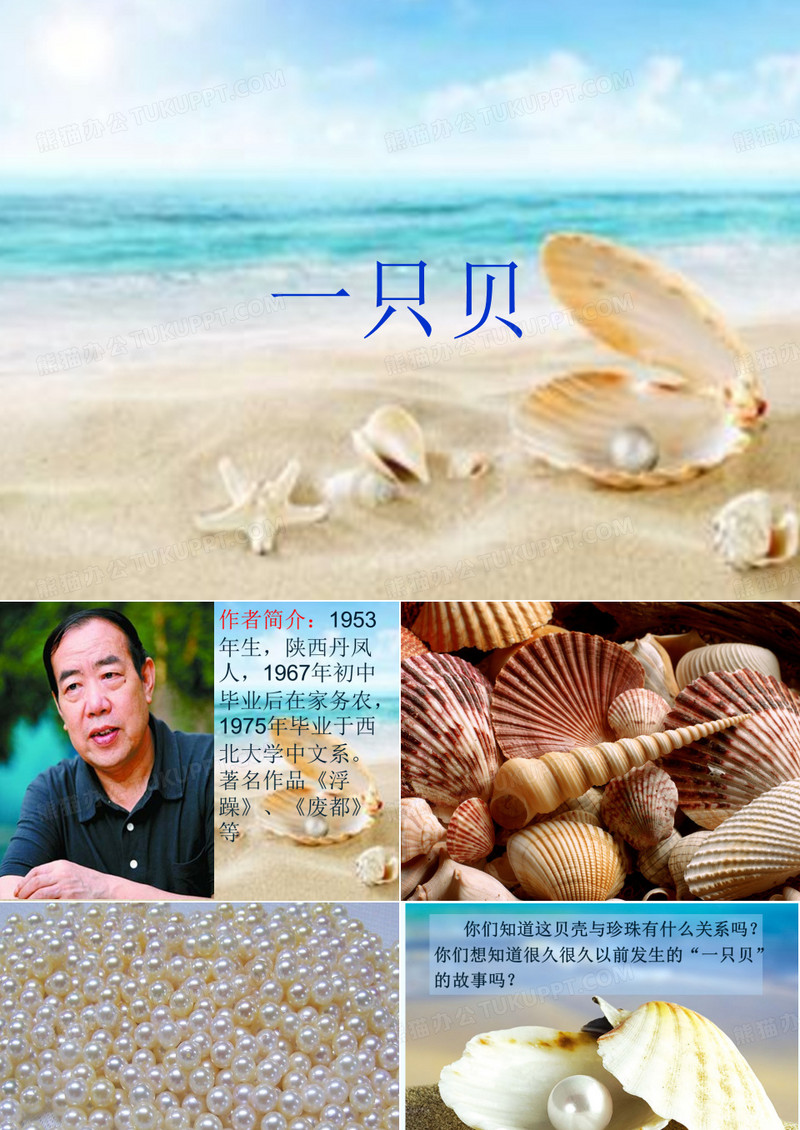 3.《一只贝》ppt教学课件