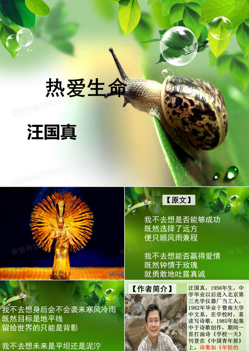 热爱生命汪国真 ppt课件