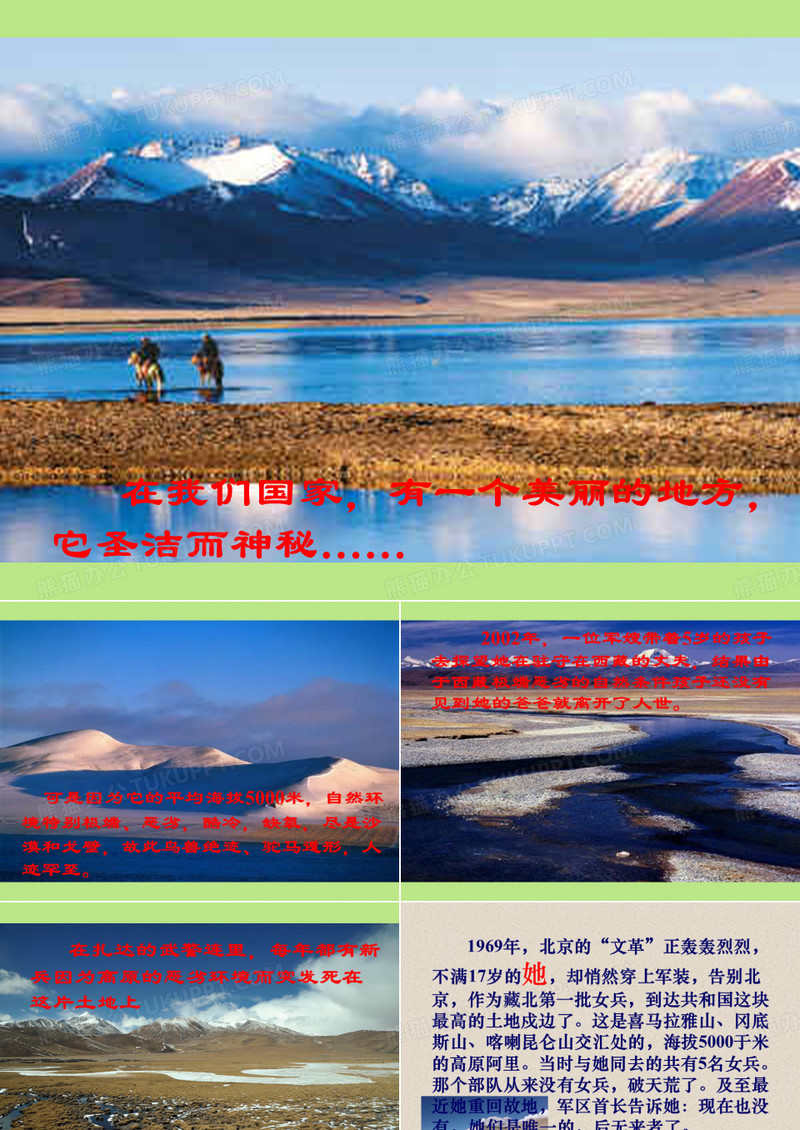 离太阳最近的树