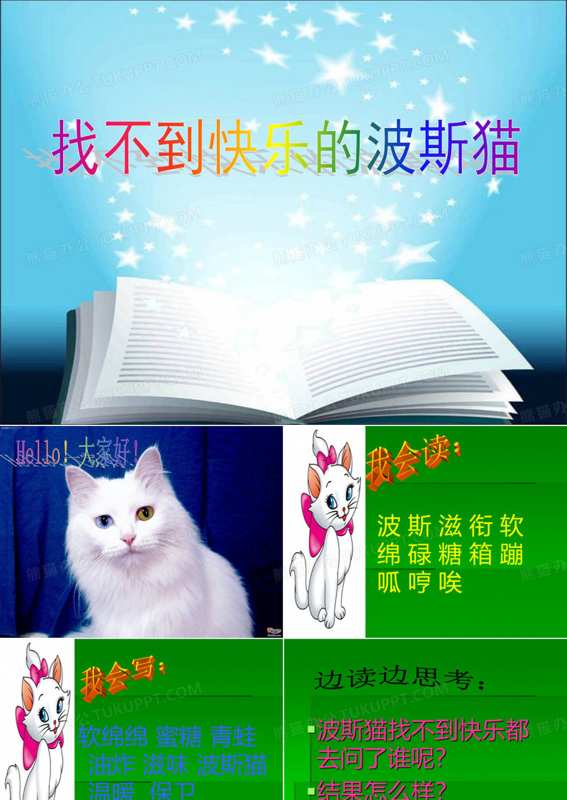 课文《找不到快乐的波斯猫》