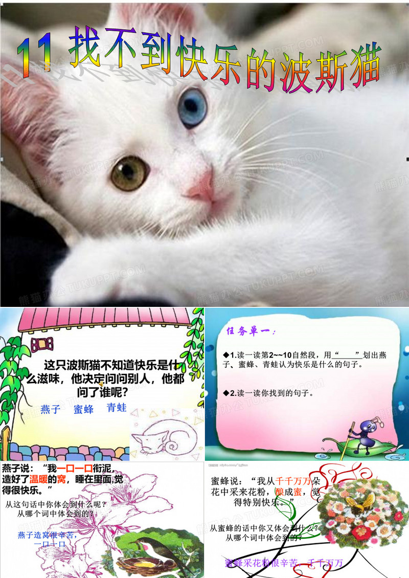 找不到快乐的波斯猫课件