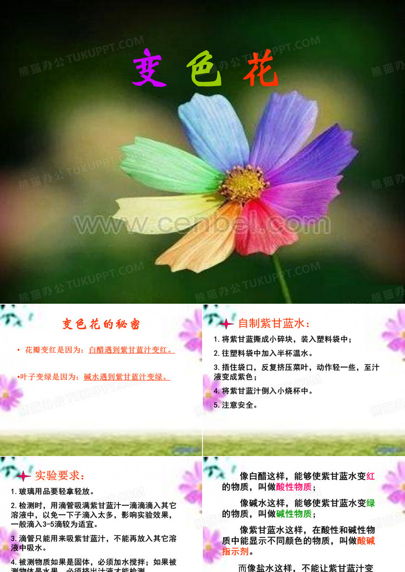 《变色花》PPT