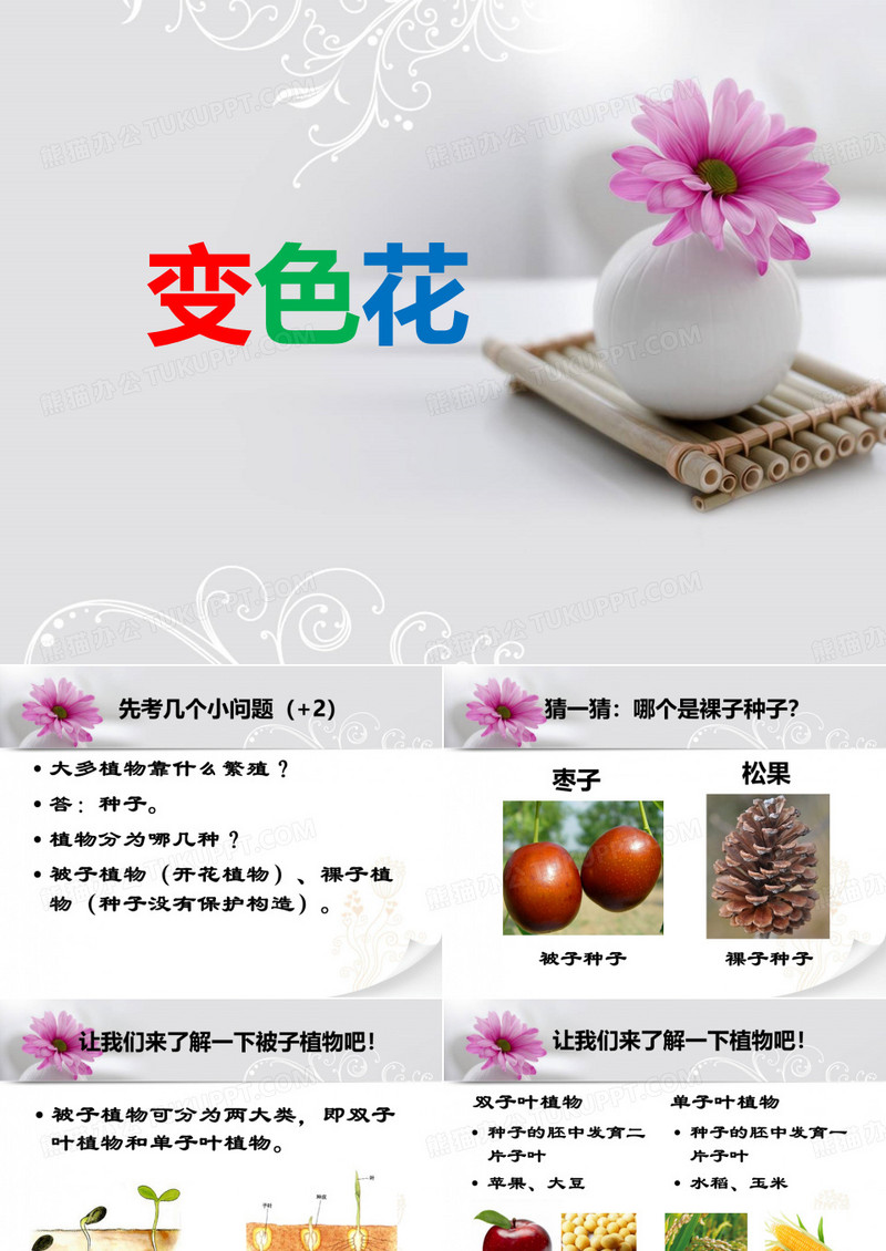 科学课：变色花