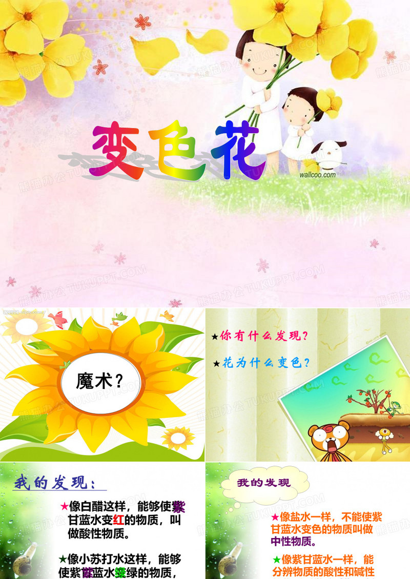 六年级科学变色花课件