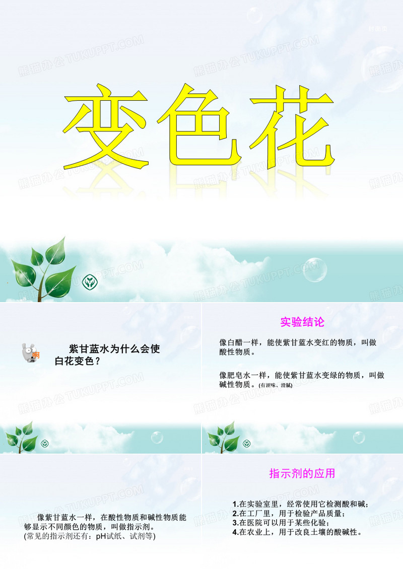 苏教版小学科学《变色花》教学课件