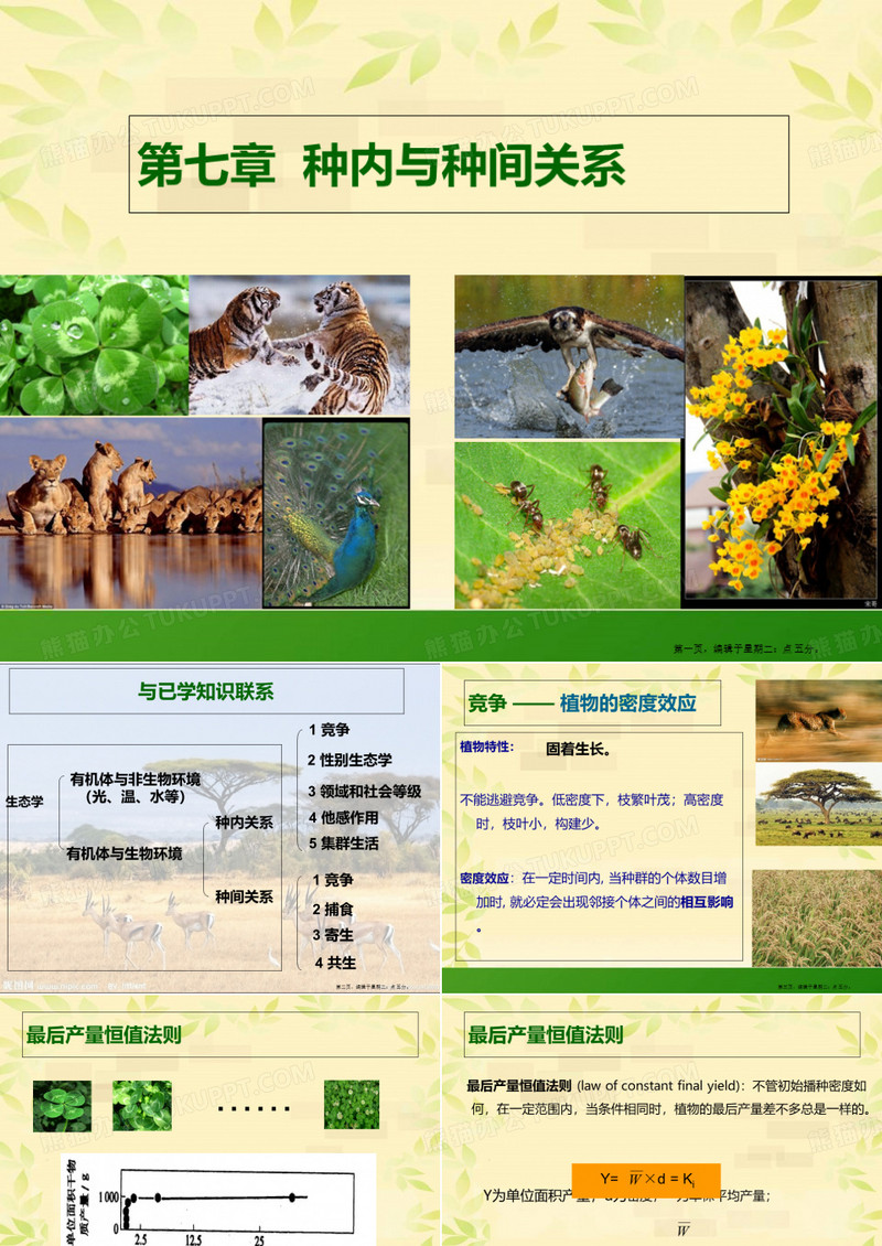 种内和种间关系