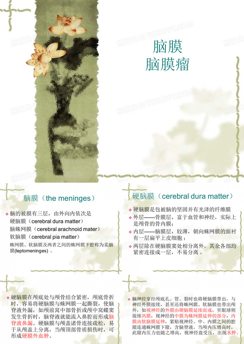 脑膜脑膜瘤