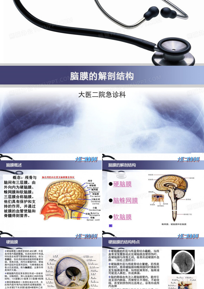 脑膜的解剖结构