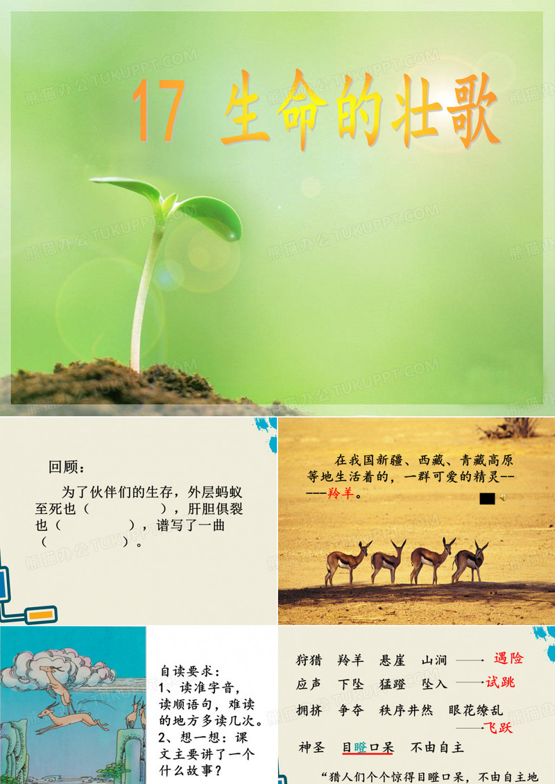 《“生命桥”》资料