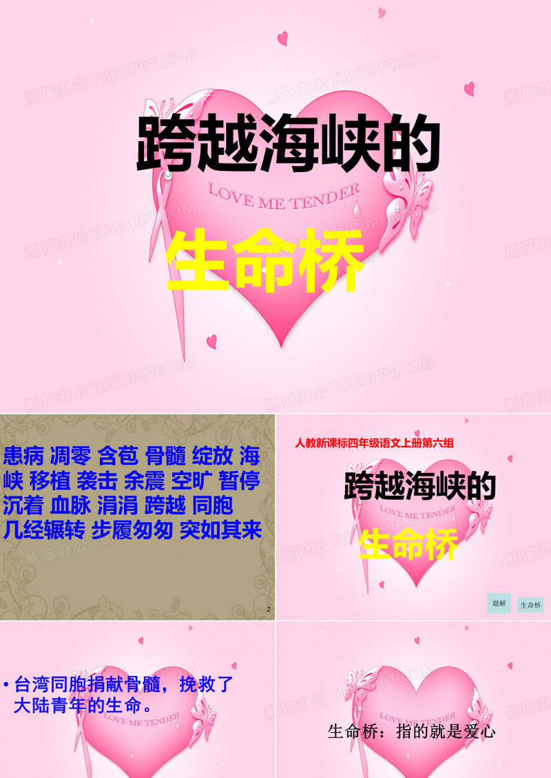 22《跨越海峡的生命桥》