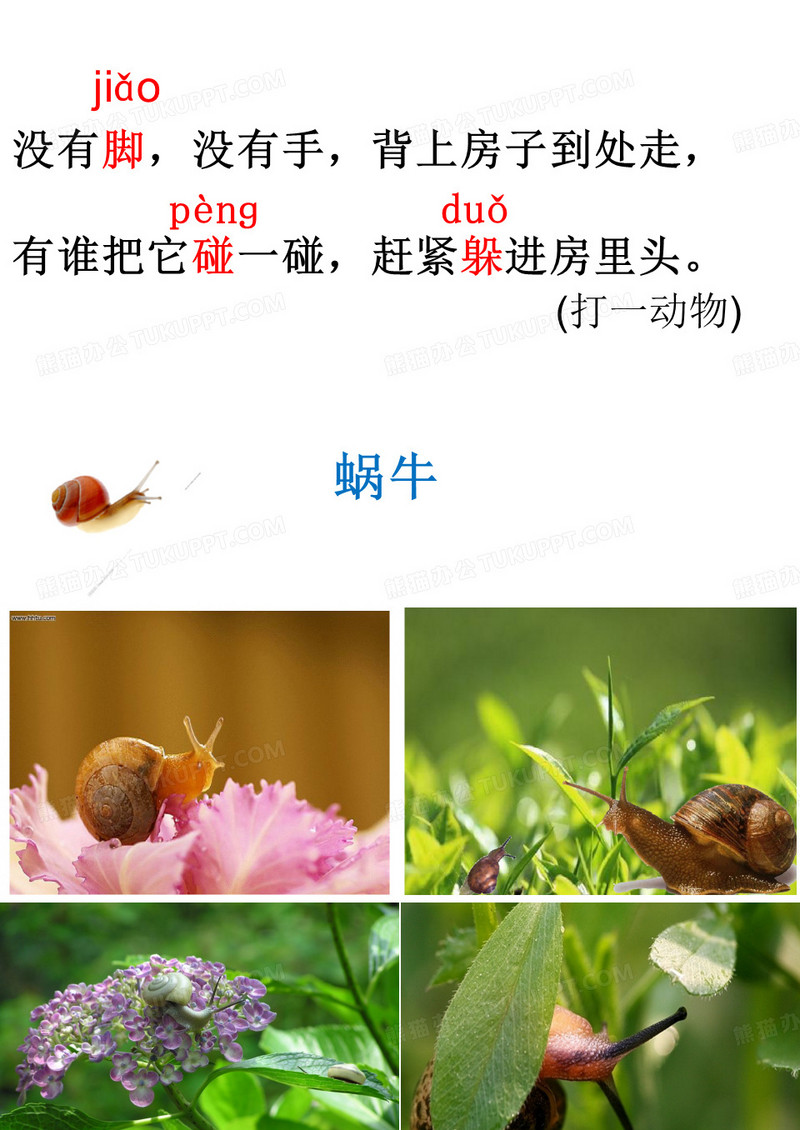 部编版一上语文《小蜗牛》-ppt