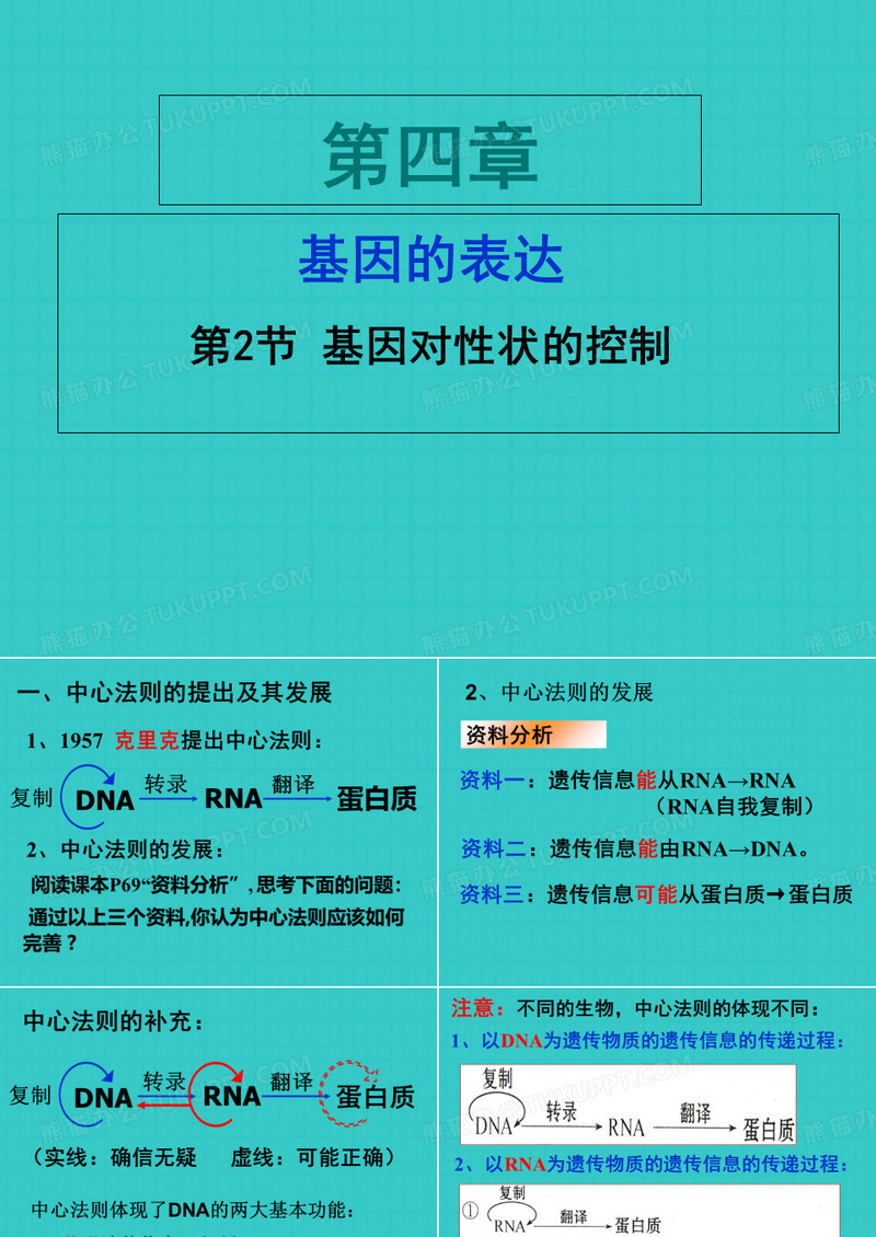 基因对性状的控制