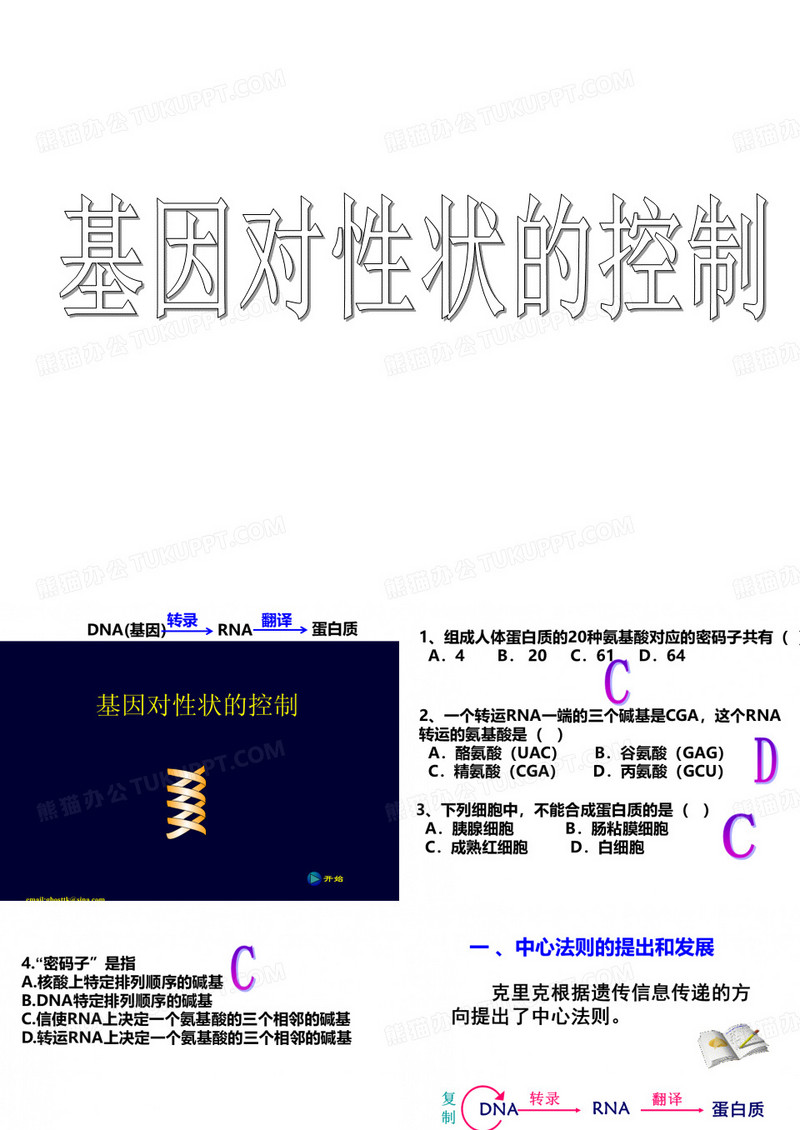 基因对性状的控制