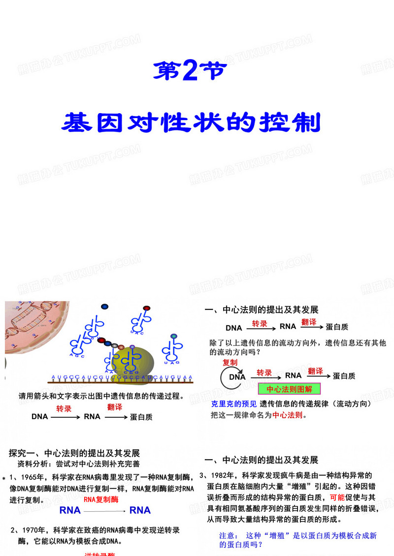 基因对性状的控制