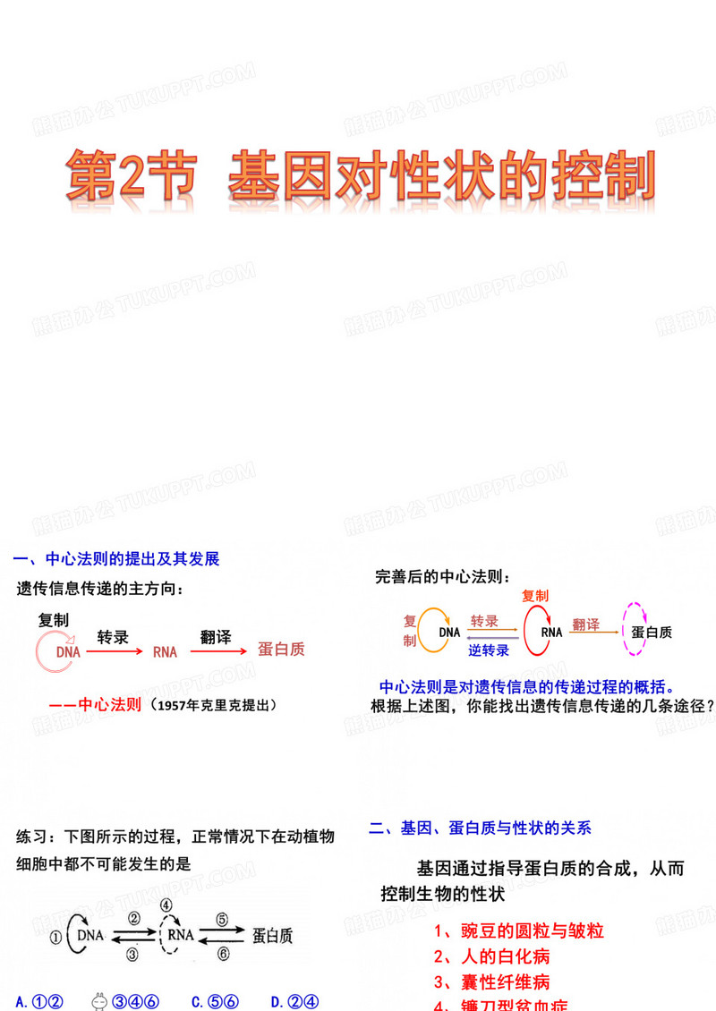 基因对性状的控制