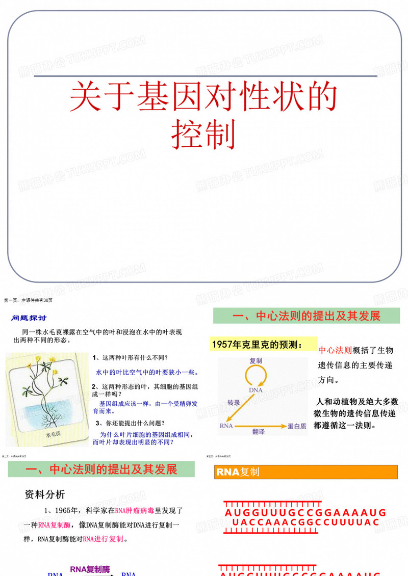 基因对性状的控制