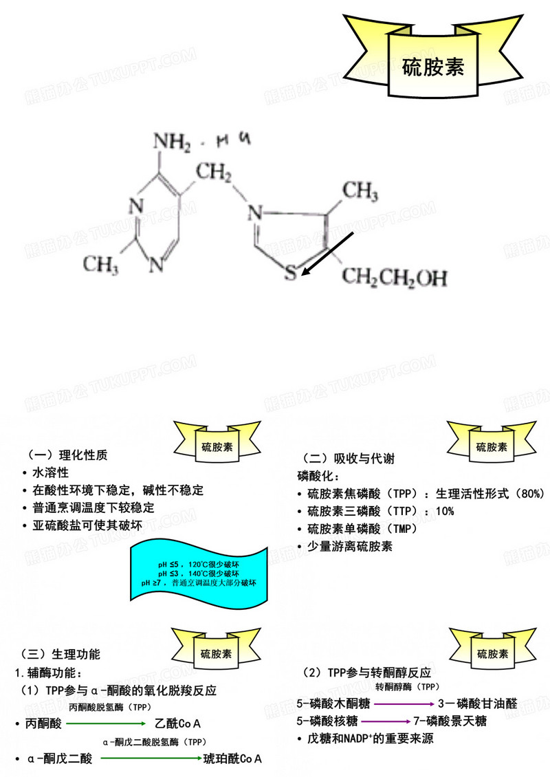 营养学——维生素B1