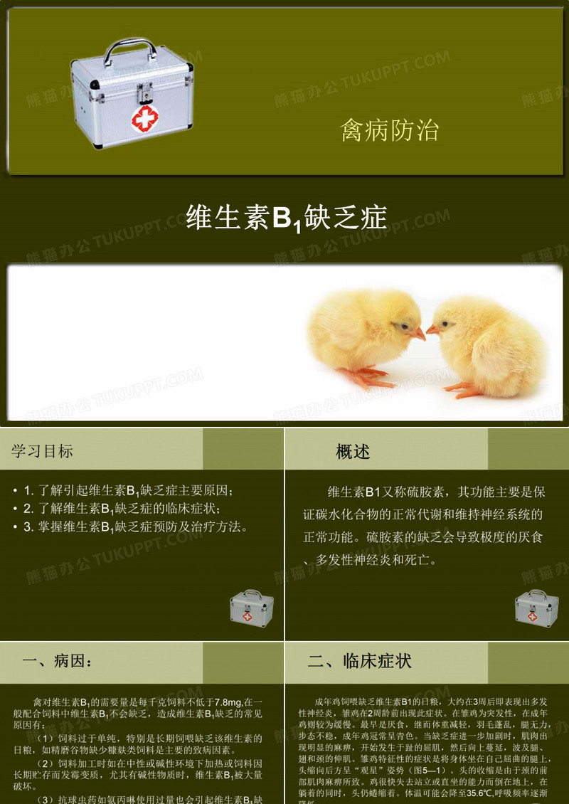 维生素B1缺乏症