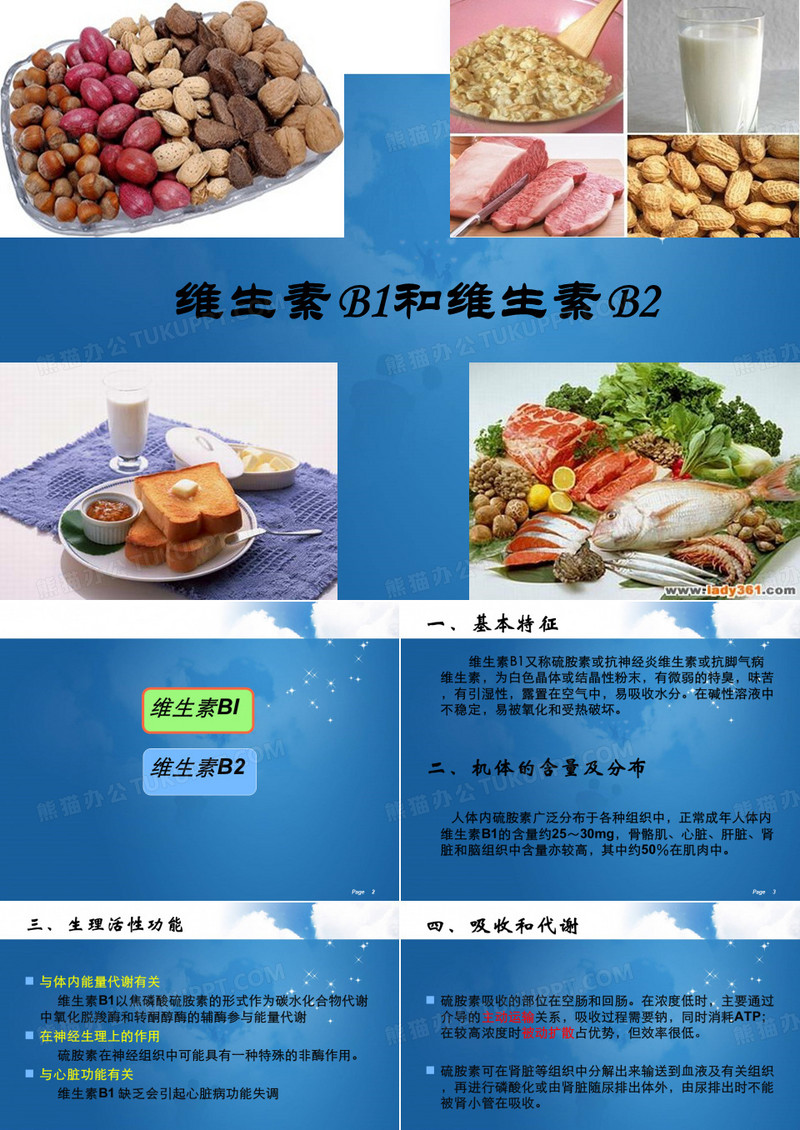 维生素B1和B2