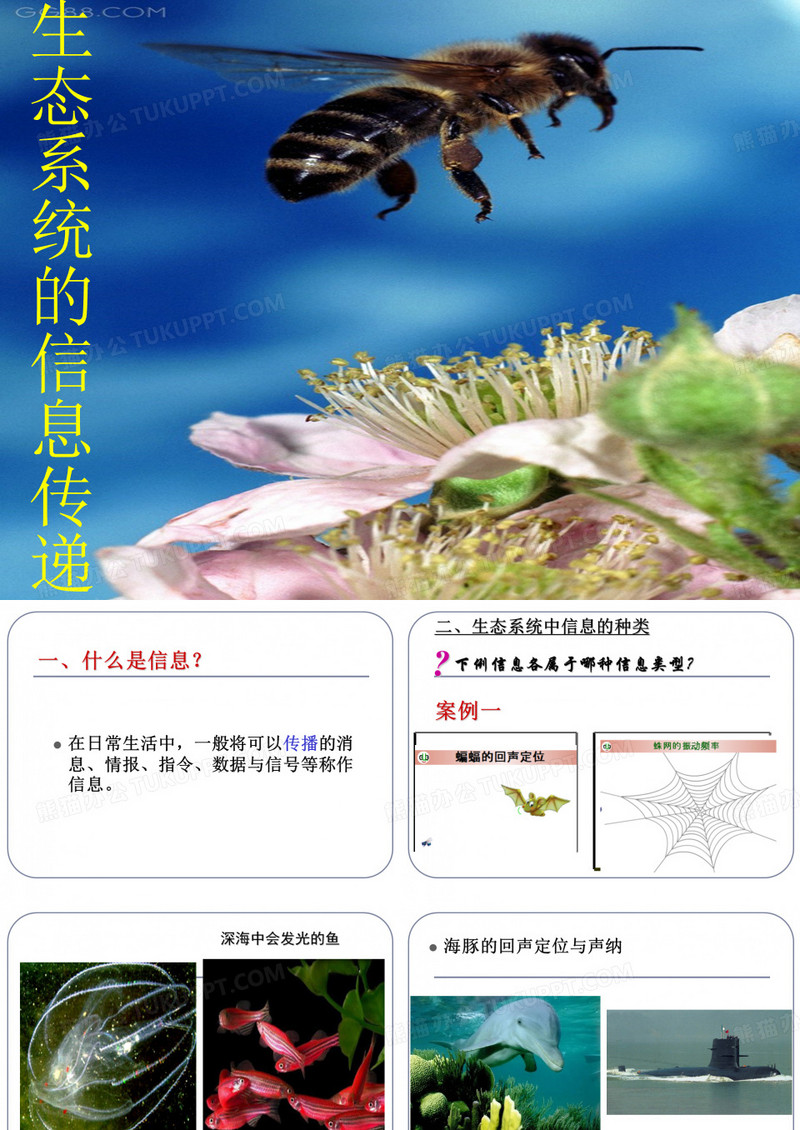 生态系统的信息的传递