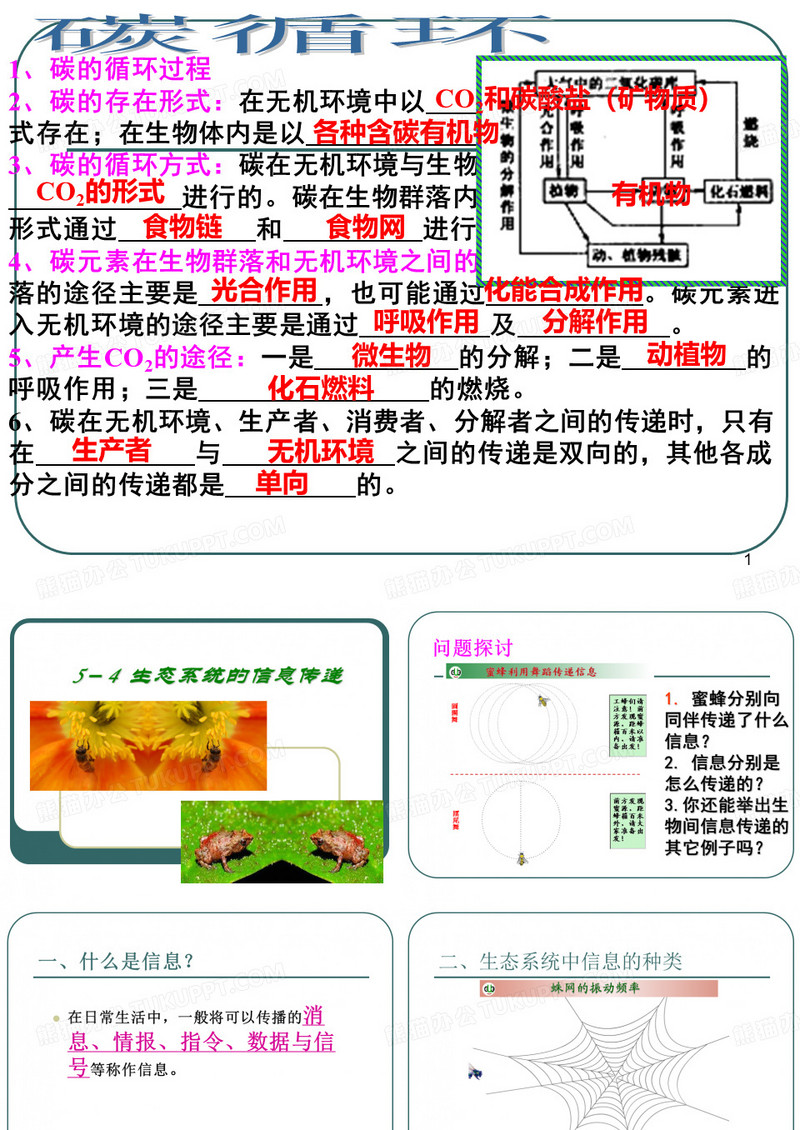 生态系统的信息传递