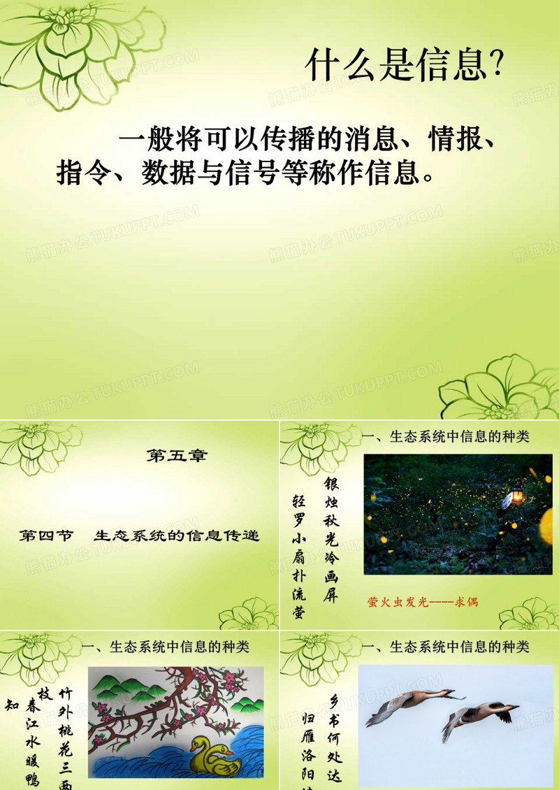 生态系统的信息传递