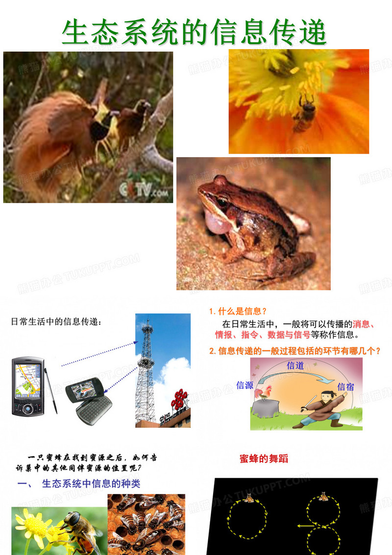 生态系统的信息传递