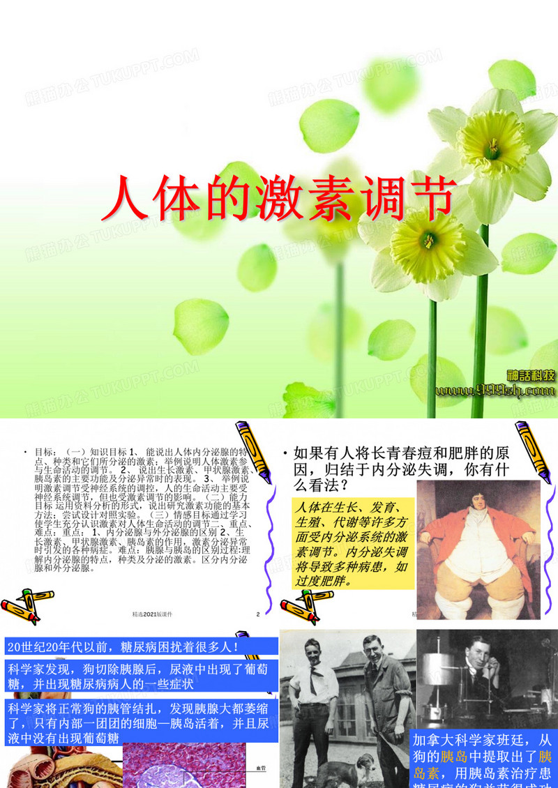 人体的激素调节