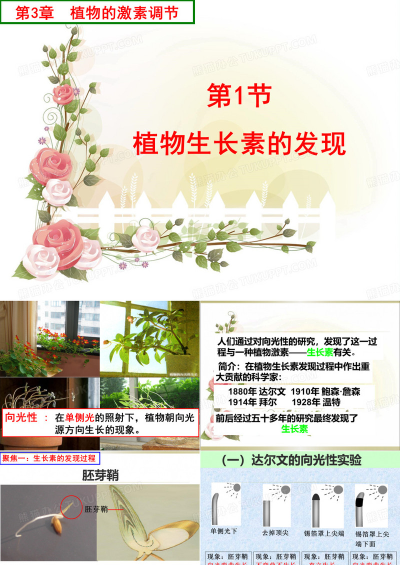 植物激素的调节