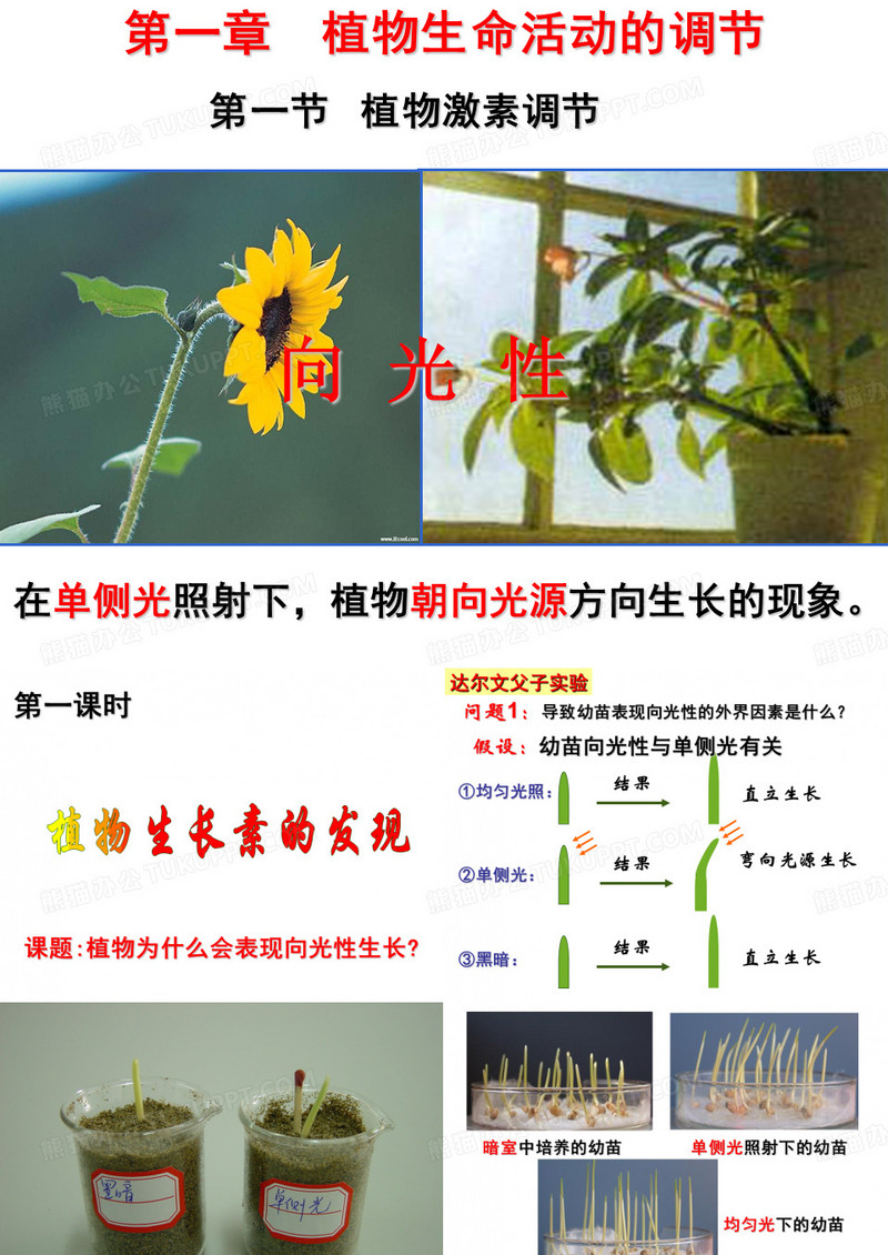 植物激素的调节