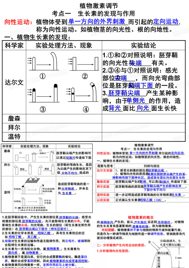 植物的激素调节