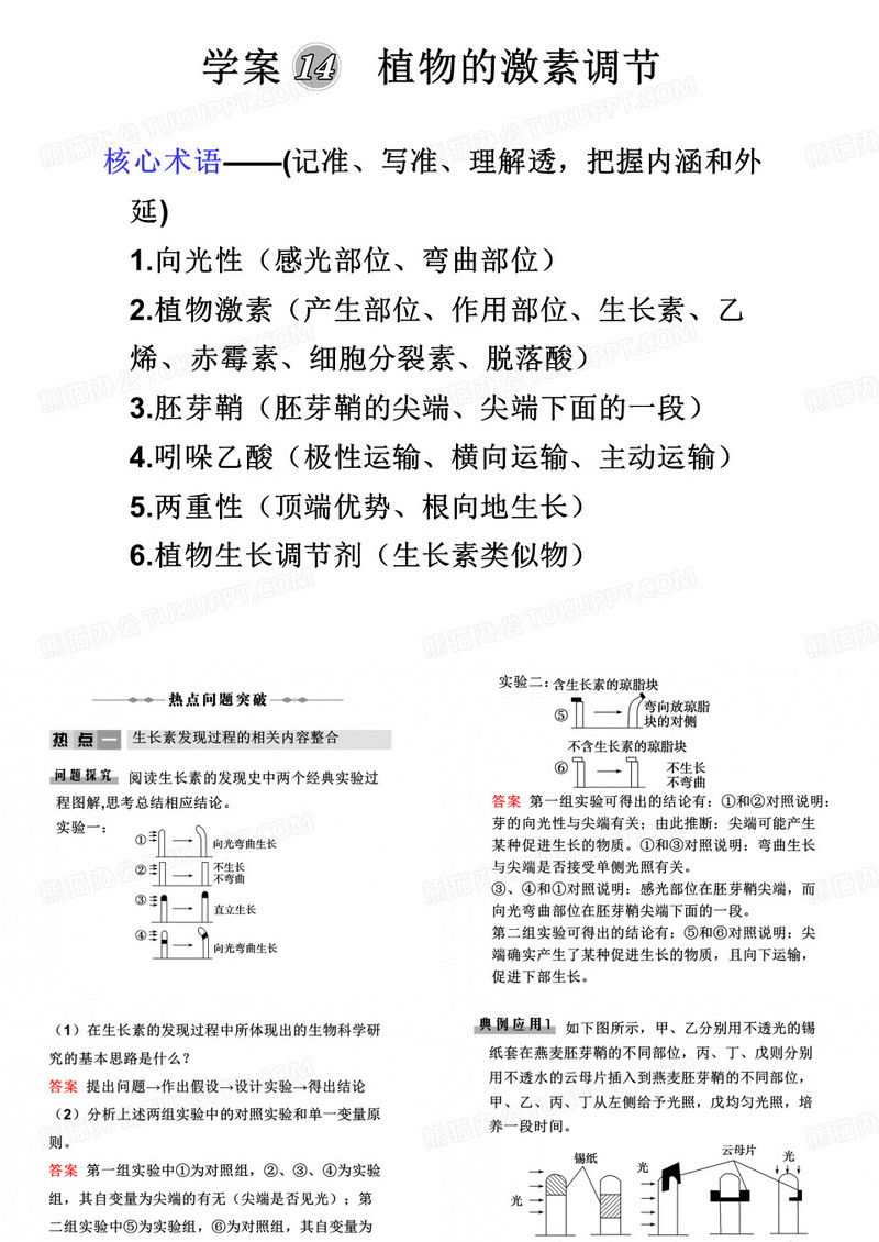 植物的激素调节