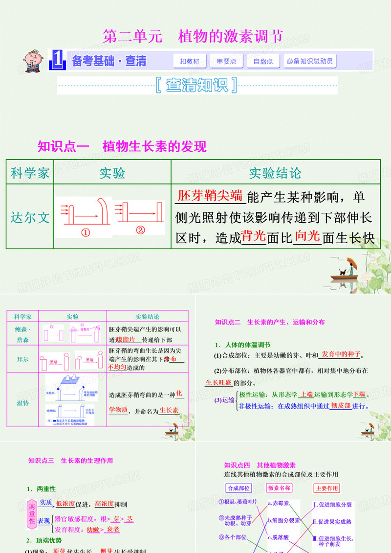 植物的激素调节