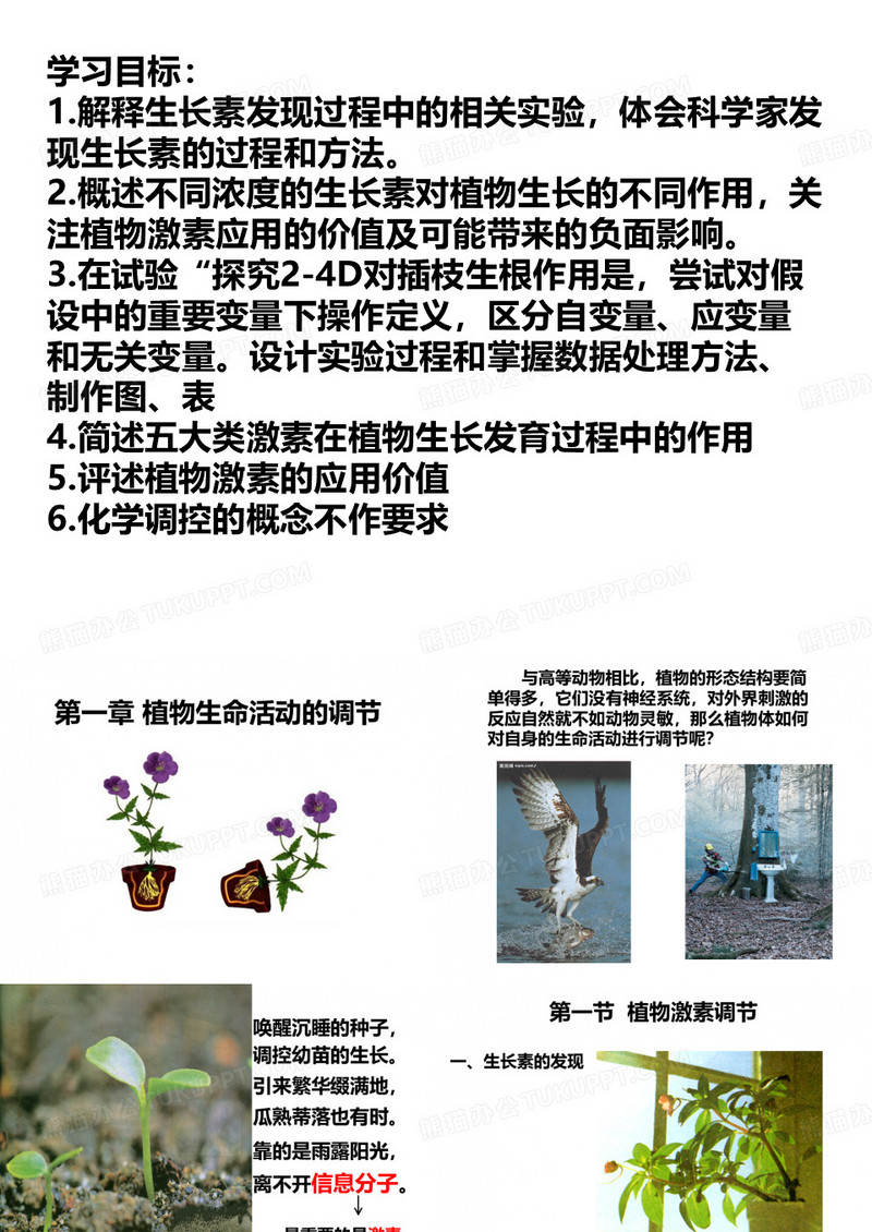 植物生命活动的调节-植物激素调节