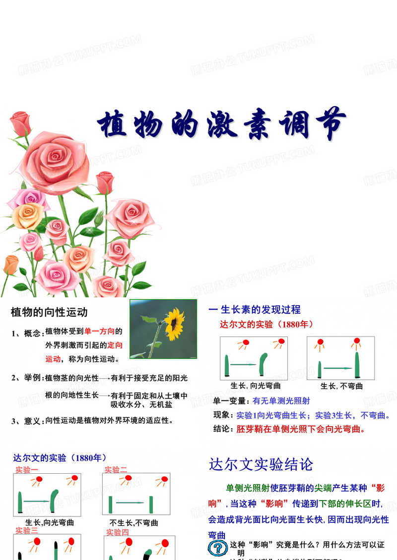 植物的激素调节ppt