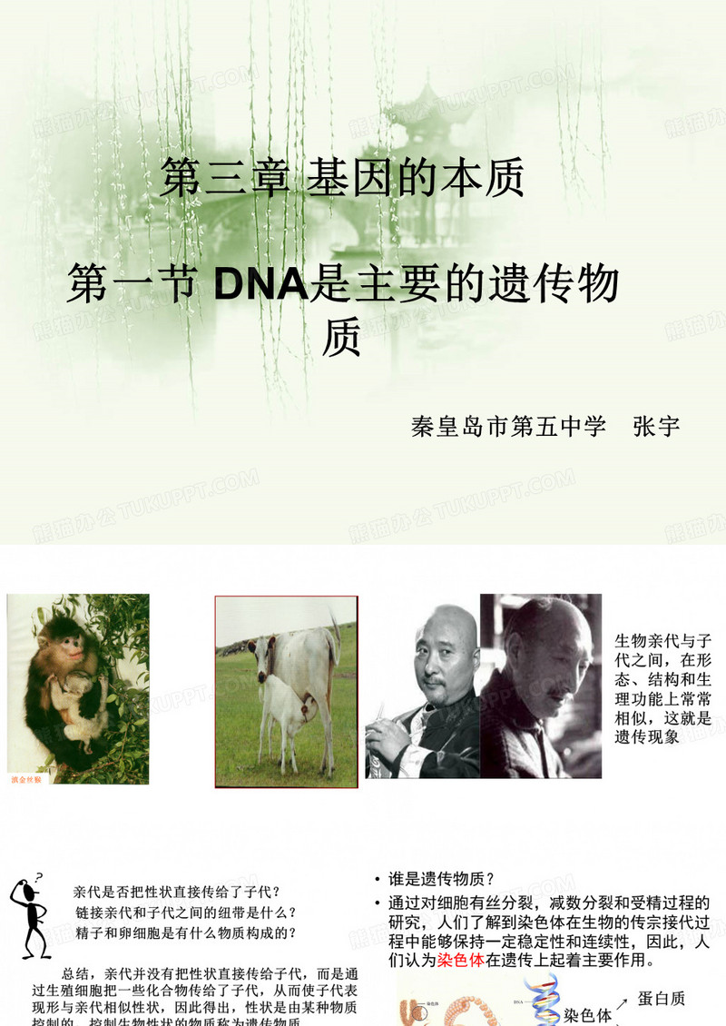 DNA是主要的遗传物质
